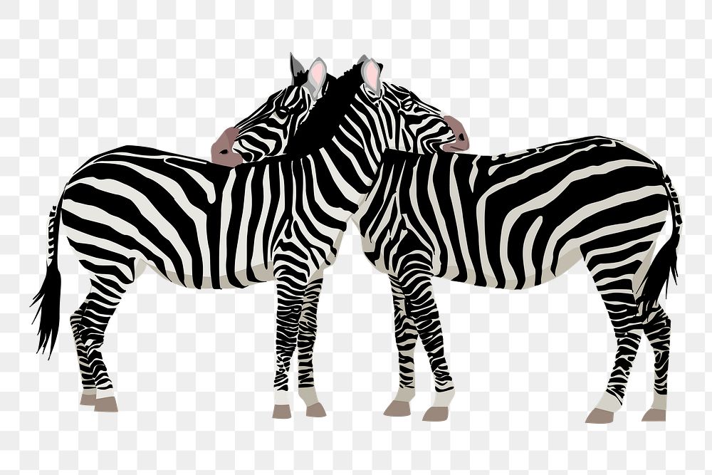 Two zebra friends png sticker illustration, transparent background. Free public domain CC0 image.