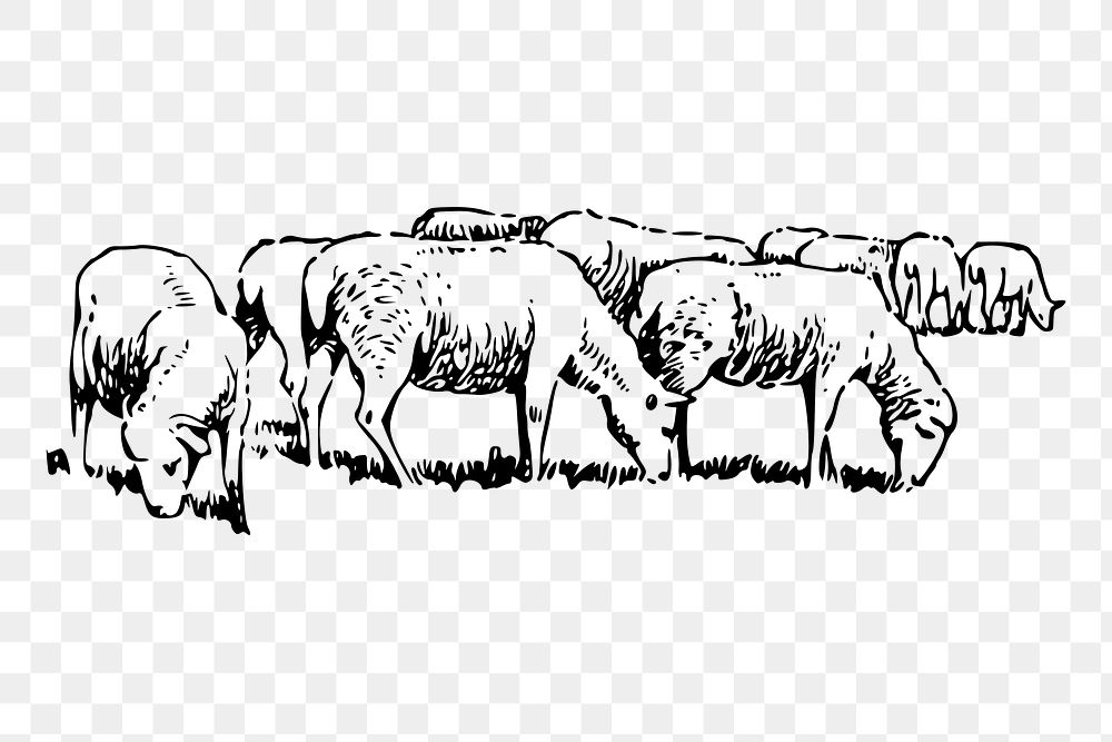 Sheep png sticker vintage livestock animal illustration, transparent background. Free public domain CC0 image.