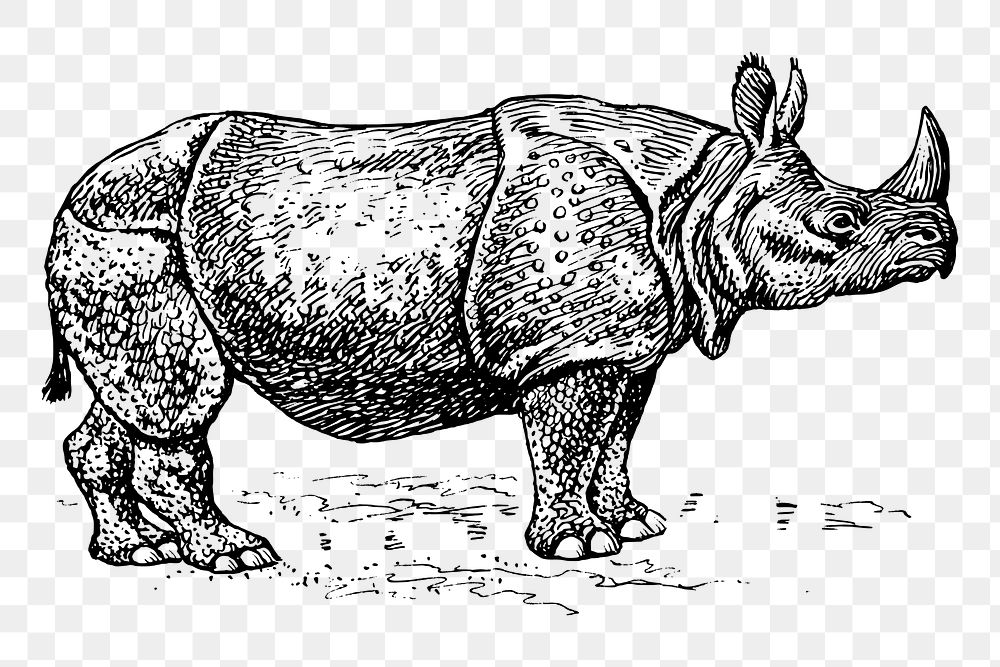 Rhino png sticker vintage wildlife illustration, transparent background. Free public domain CC0 image.