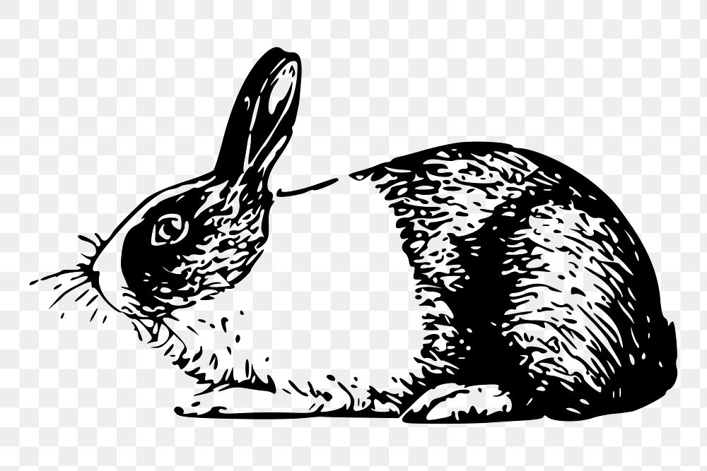 Rabbit png sticker vintage animal illustration, transparent background. Free public domain CC0 image.