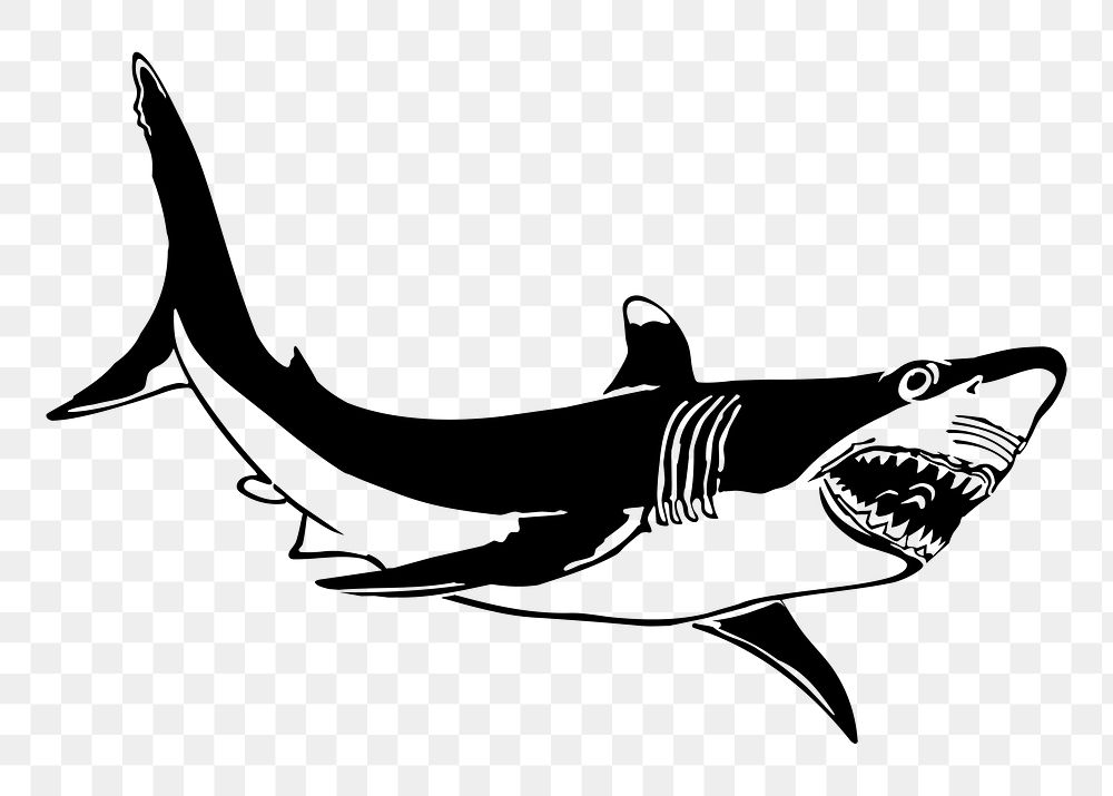 Shark png sticker vintage fish illustration, transparent background. Free public domain CC0 image.