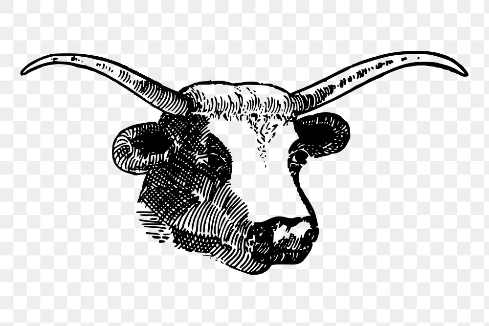 Bull png sticker vintage animal illustration, transparent background. Free public domain CC0 image.
