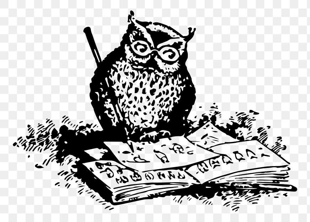 Owl drawing png sticker vintage animal illustration, transparent background. Free public domain CC0 image.