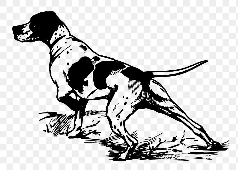 Hunting dog png sticker, vintage animal illustration on transparent background. Free public domain CC0 image.