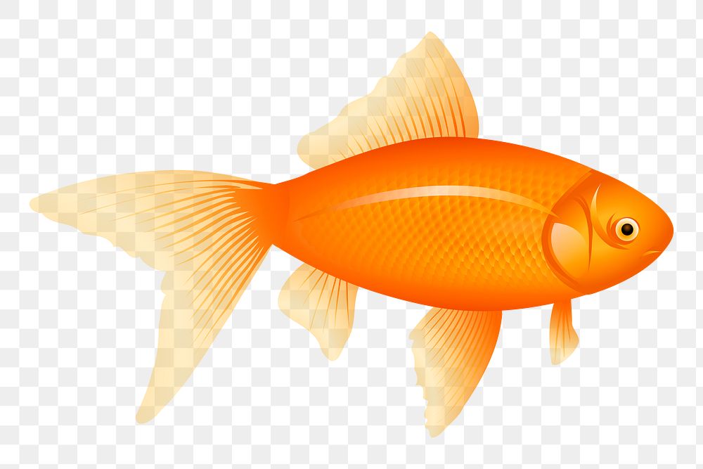 Goldfish pet png sticker, transparent background. Free public domain CC0 image.