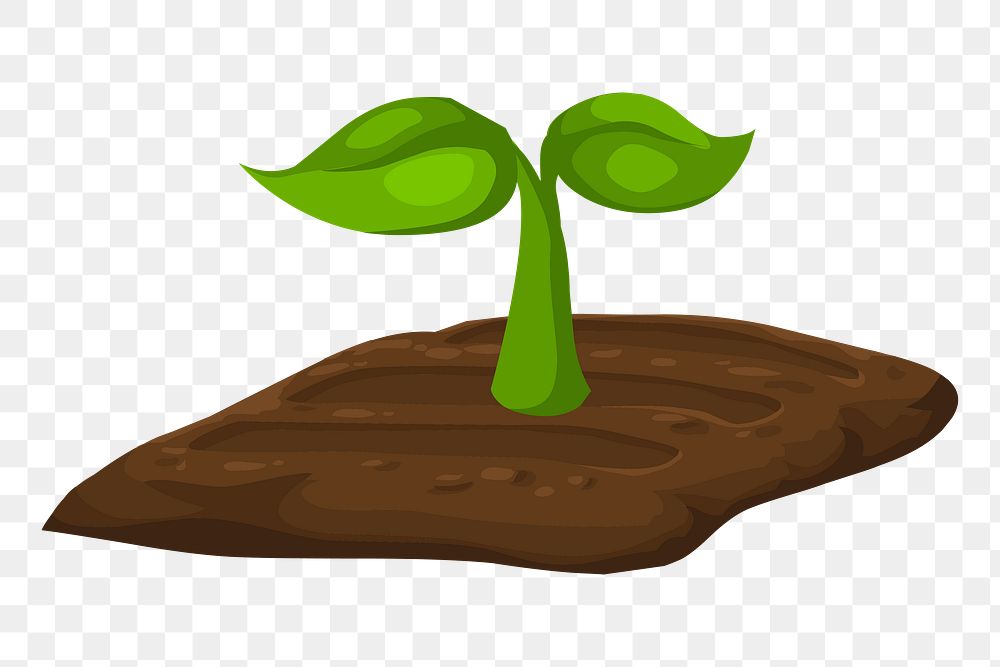 Seedling png sticker plant illustration, transparent background. Free public domain CC0 image.