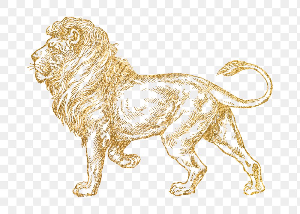 Gold lion png sticker, wildlife aesthetic illustration, transparent background