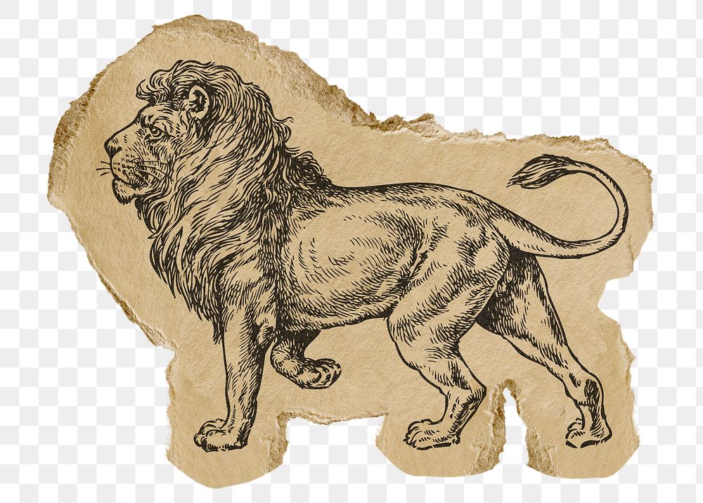 Lion png sticker, ripped paper, animal illustration, transparent background