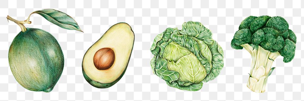 Organic vegetables png hand-drawn collection