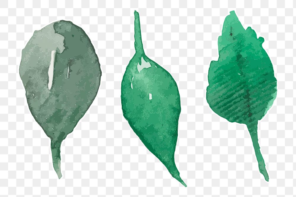 Hand drawn green leaf sticker png watercolor decorative set