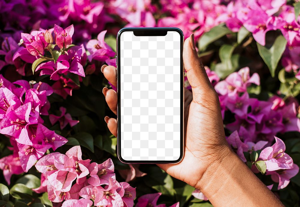 Woman holding a phone over a pink bougainvillea transparent png