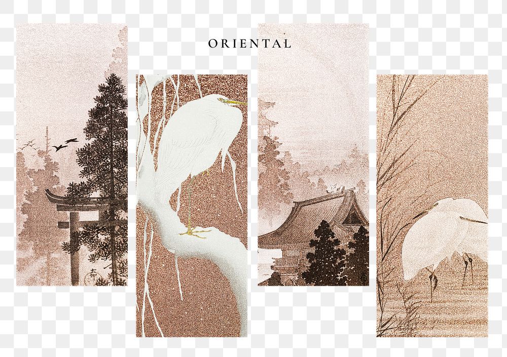 Png Japanese oriental aesthetic graphics
