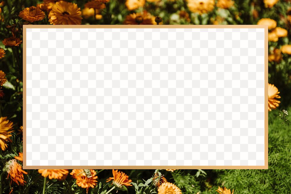 Yellow Chrysanthemum flower patterned frame design element