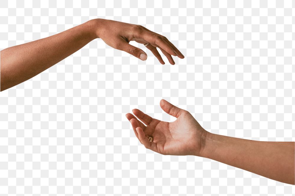 Women's hands png reaching for each other, transparent background