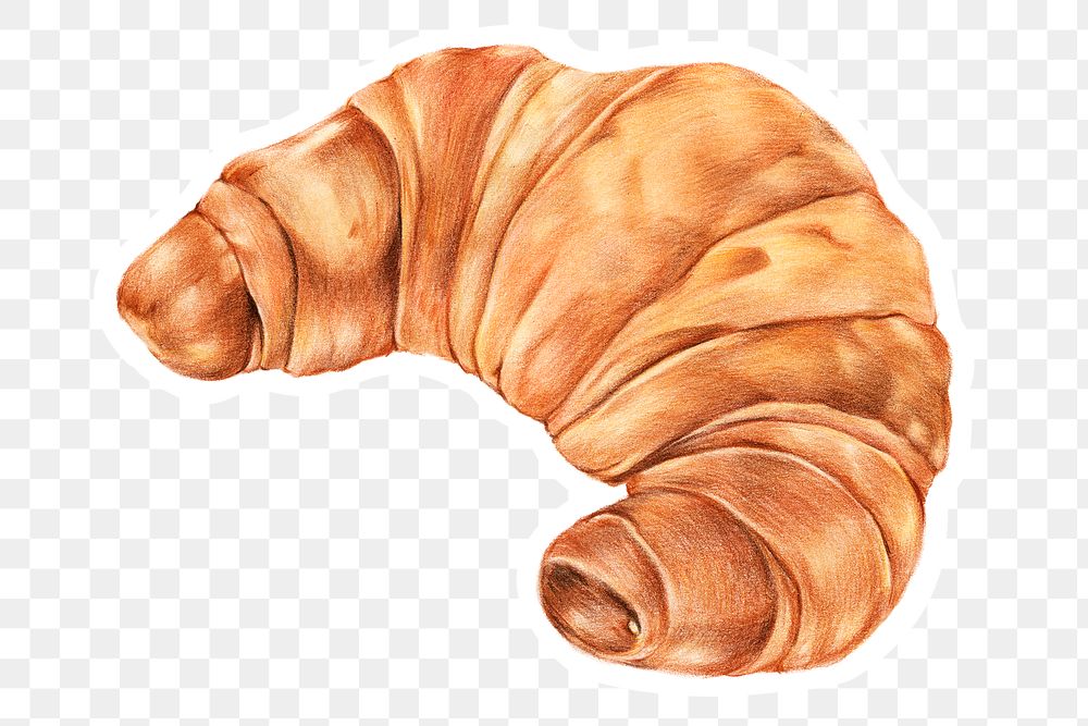 Fresh croissant golden brown png illustrated