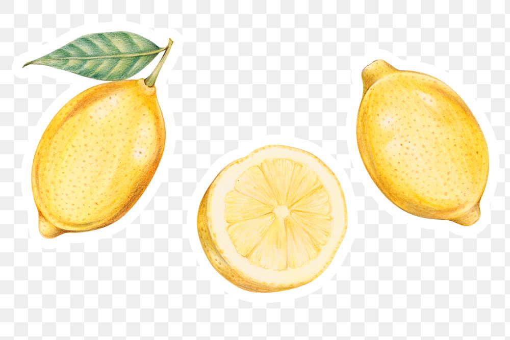 Raw lemon illustration png sticker hand drawn