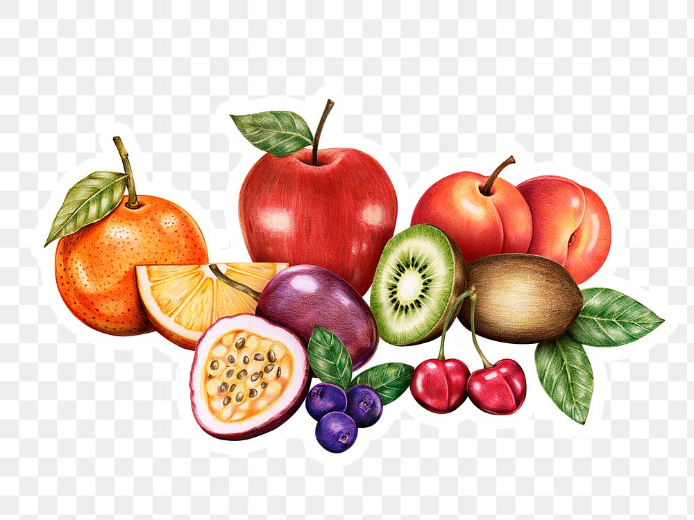 Fresh organic fruits assorted png hand drawn illustration