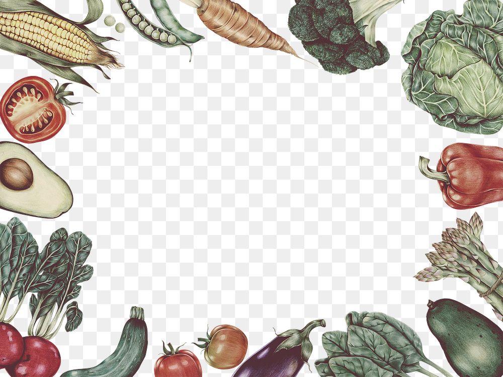 Organic vegetable frame png botanical illustration