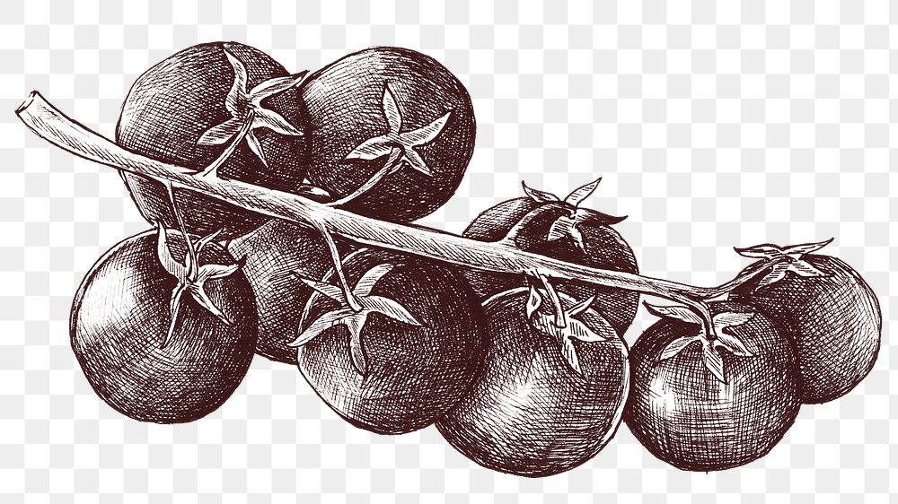 Black and white tomato png transparent