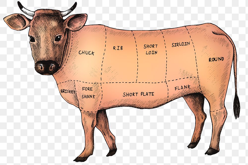 Colorful cut of beef png 