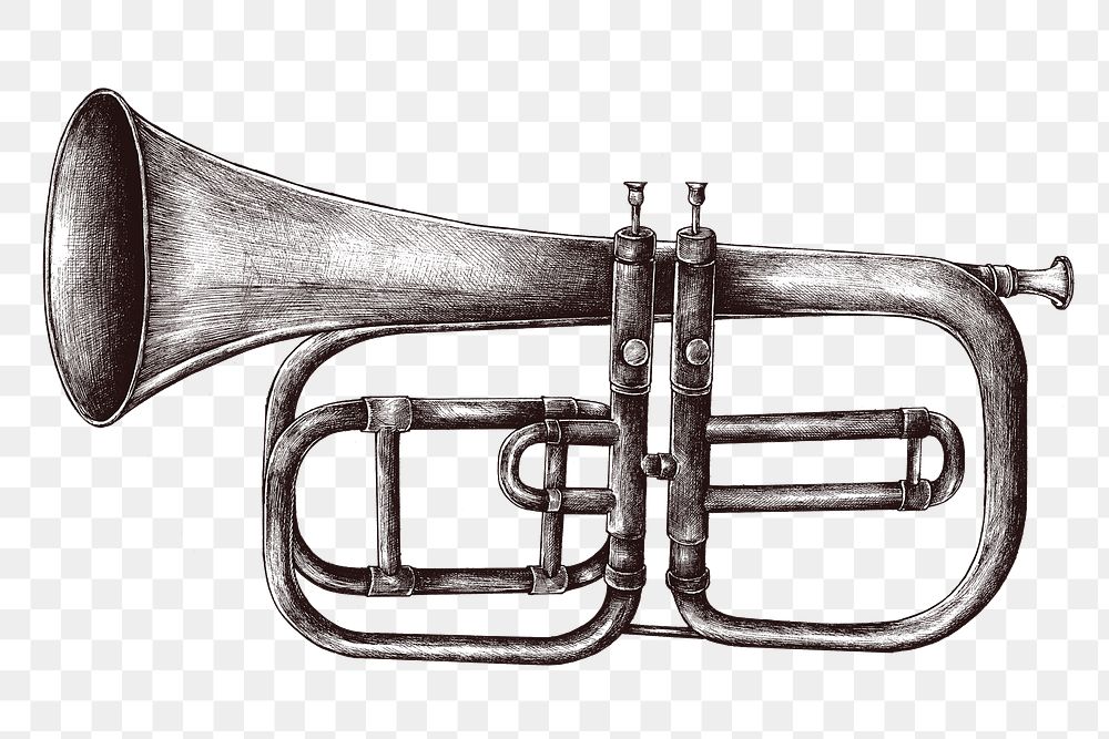 Hand drawn trumpet design element