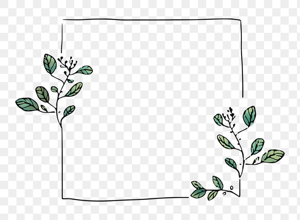 Botanical frame png sticker, doodle illustration