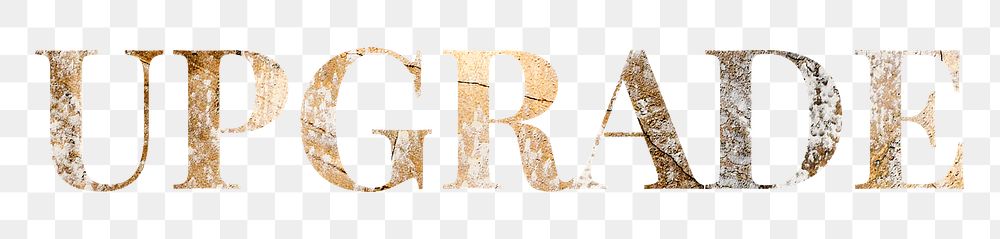Gold font word typography png 