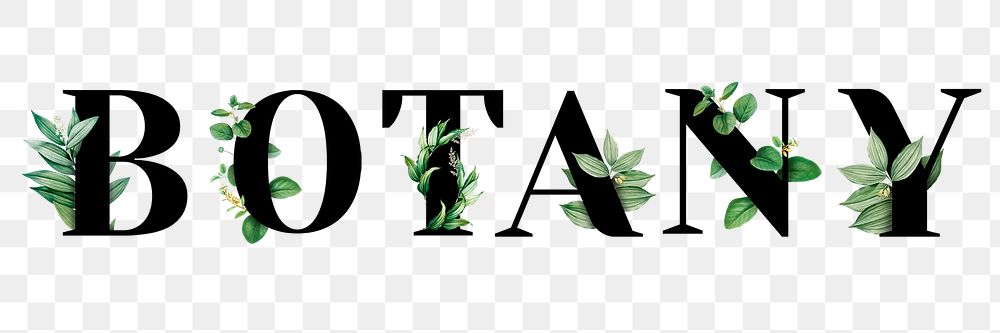 Botanical BOTANY png word typography