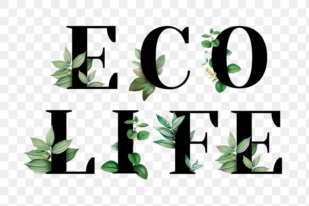 Botanical ECO LIFE png word typography