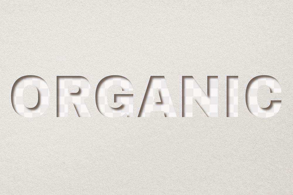 Organic png 3d paper cut font typography