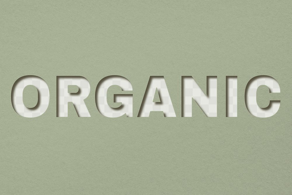 Png word organic paper cut font typography