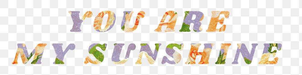 You are my sunshine png floral pattern font typography