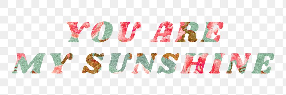 You are my sunshine png retro floral pattern typography