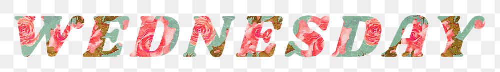 Wednesday word png retro floral typography