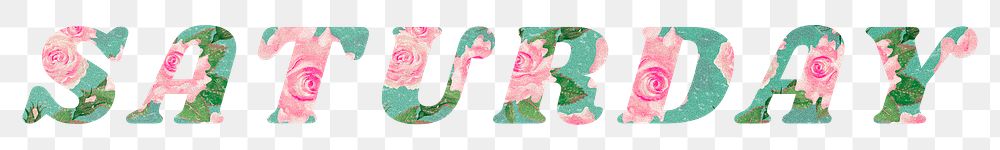 Saturday word png retro floral typography