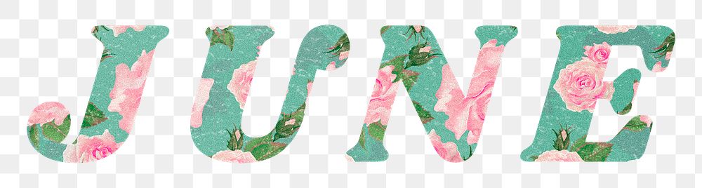 June word png retro floral typography