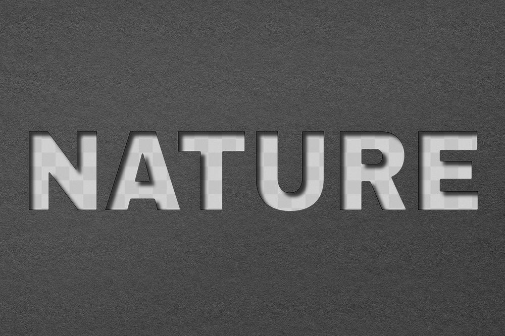 Paper cut nature png word typography