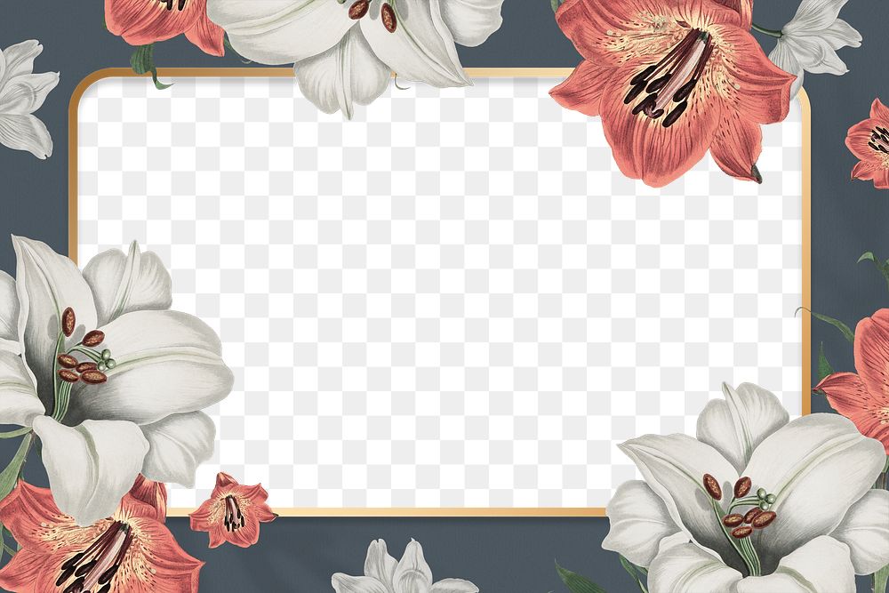 Floral frame png hand drawn design space