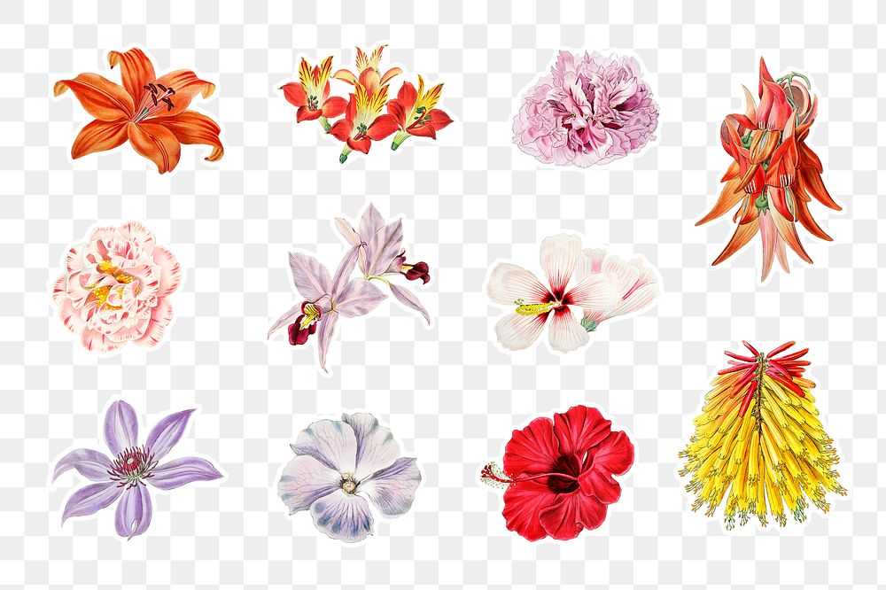 Blooming flowers png illustrated floral sticker mixed