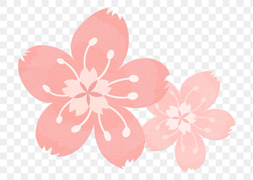 Png cherry blossom pink sakura flowers