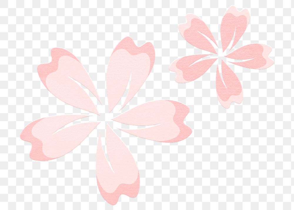 Png cherry blossom pink sakura flowers
