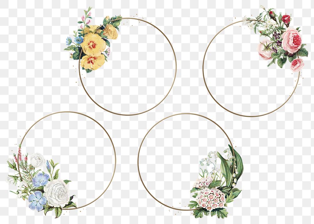 Png gold frames with vintage flower illustrations
