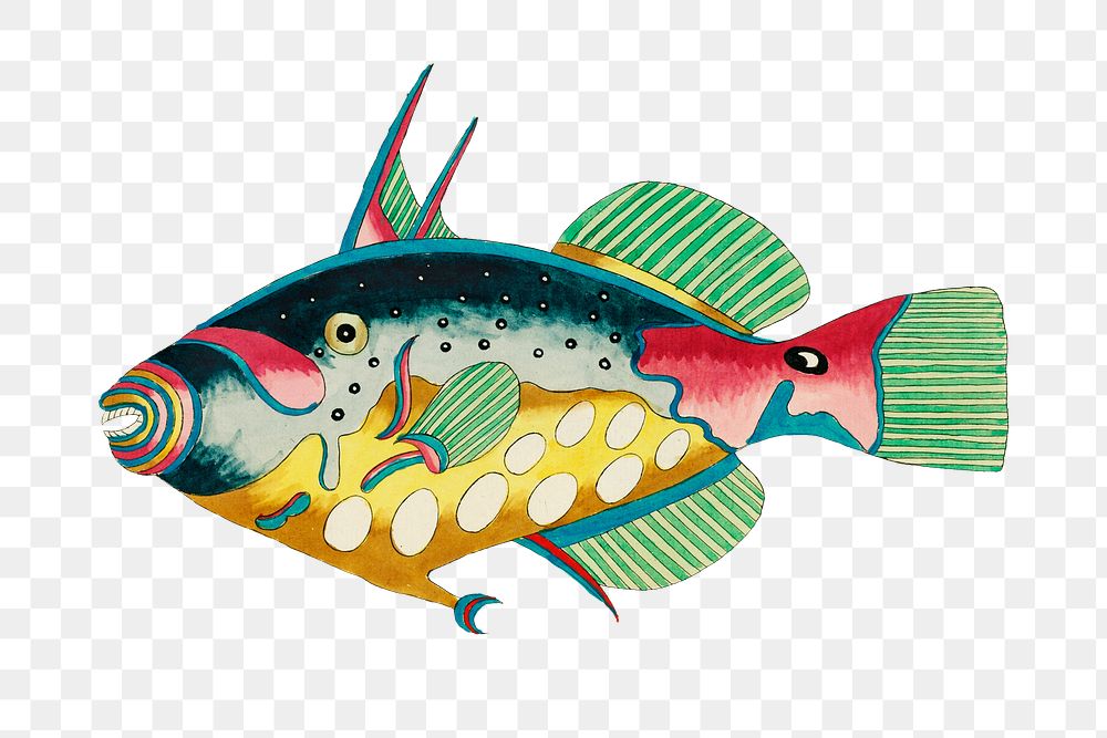 Vintage fish png sticker, aquatic animal colorful illustration, remix from the artwork of Louis Renard