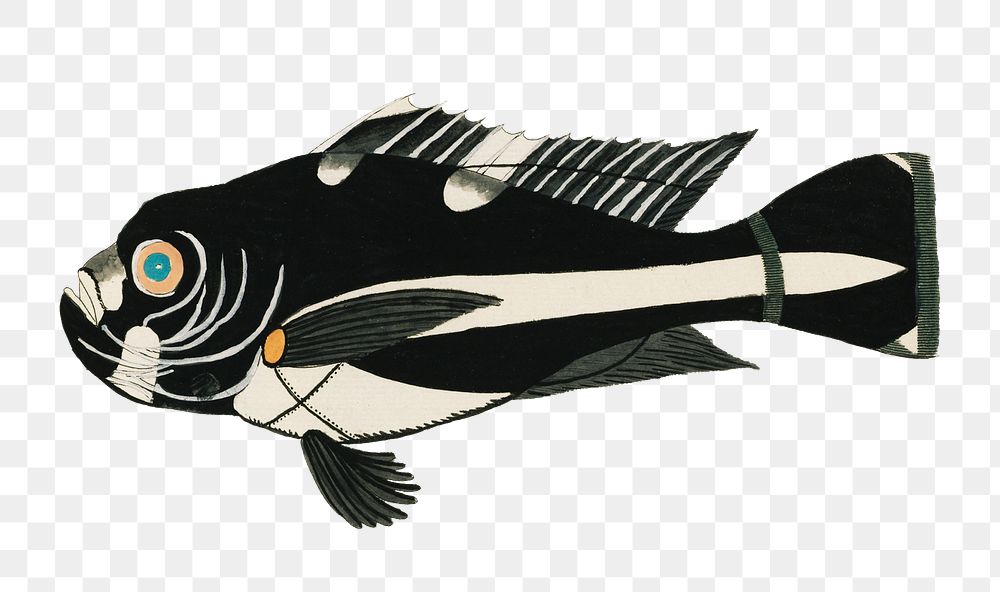 Vintage fish png sticker, Macalor, aquatic animal surreal illustration, remix from the artwork of Louis Renard