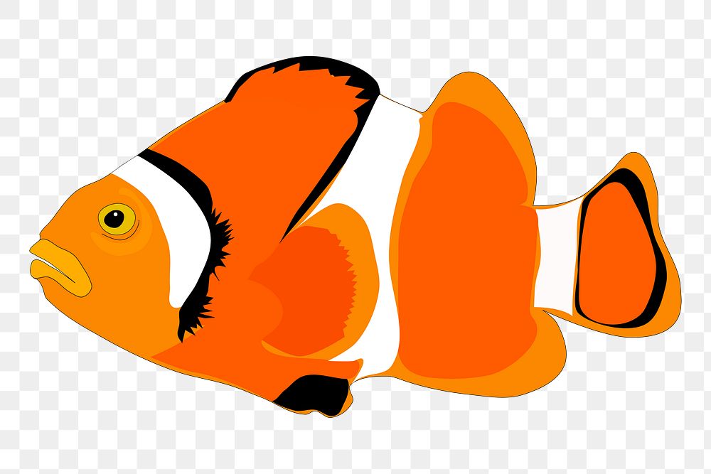 Clownfish png sticker, cute animal illustration, transparent background. Free public domain CC0 image.