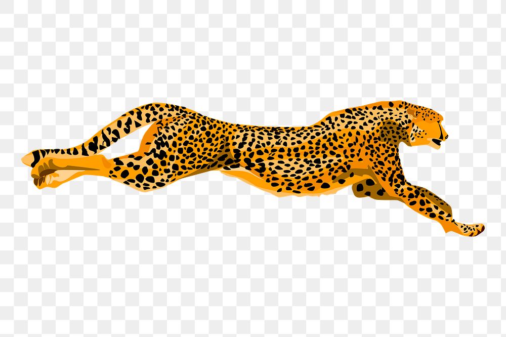 Cheetah png sticker, animal illustration, transparent background. Free public domain CC0 image.