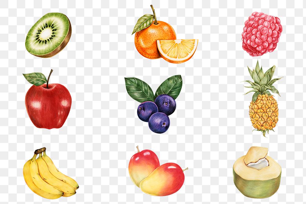 Summer fruits vintage png hand-drawn collection