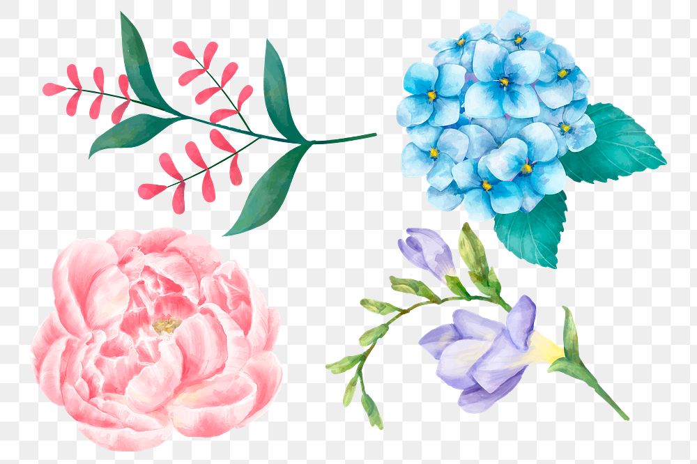 Painting flowers png sticker watercolor clipart collection