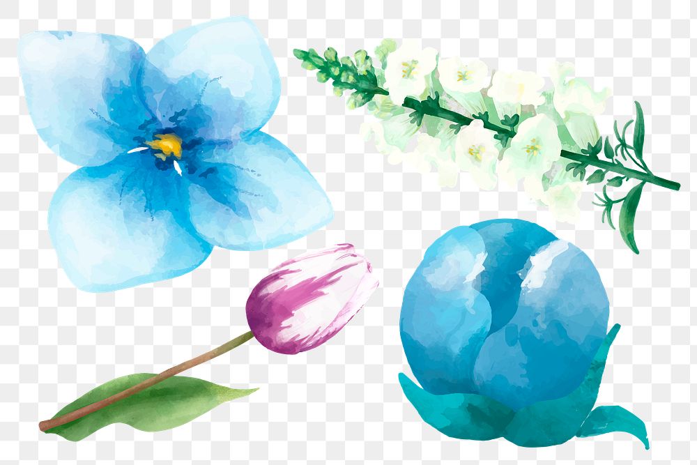 Painting flowers png sticker watercolor clipart set