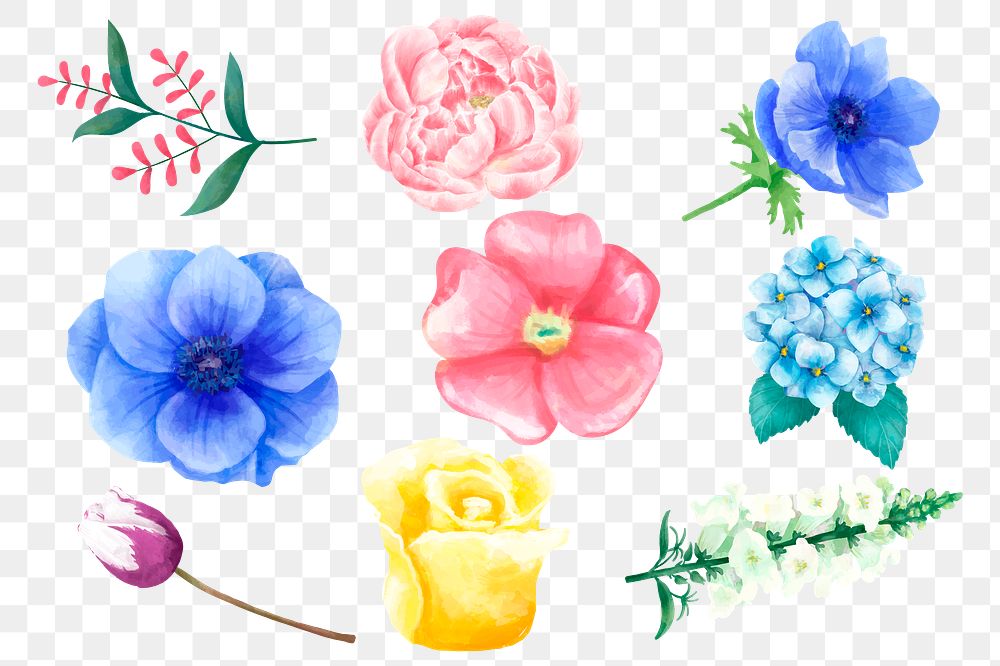 Colorful flowers sticker png hand drawn set